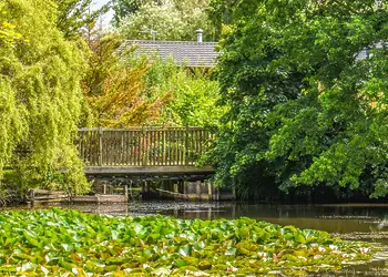 Vale of York Country Park, Strensall, near York