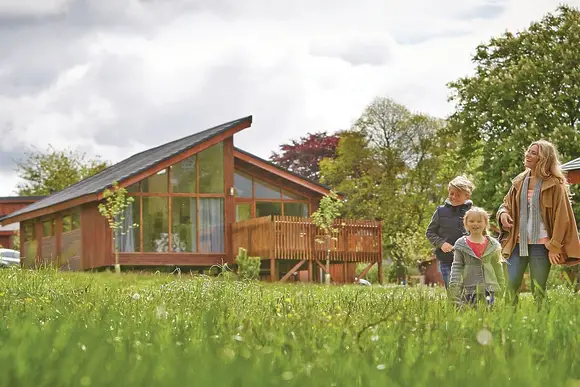 Typical Copper Beech 2 Meadow Cabin 