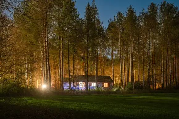 Griffon Forest, Flaxton, York