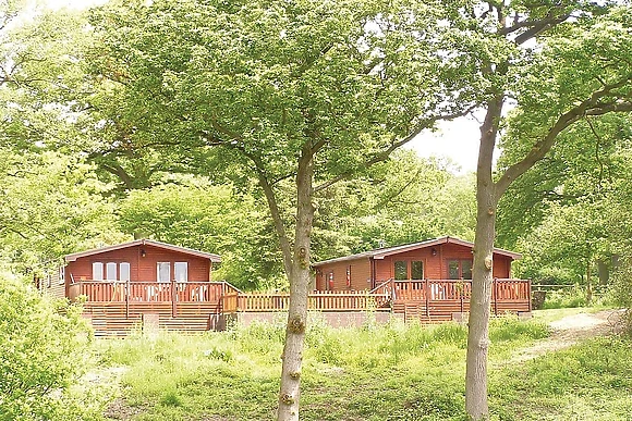 The park setting<br />