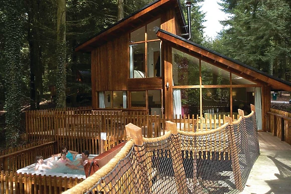 Typical Golden Oak Treehouse 