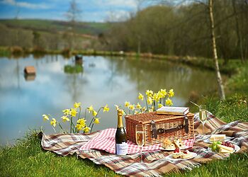 Woodland Cottage