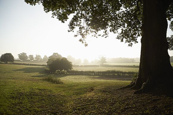 Top Cottage, Oddington