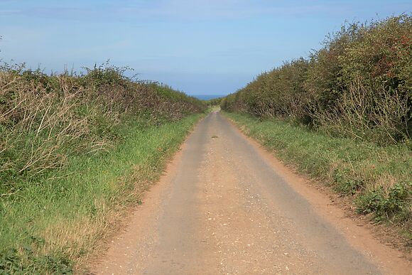 The Old Butcher's Shop