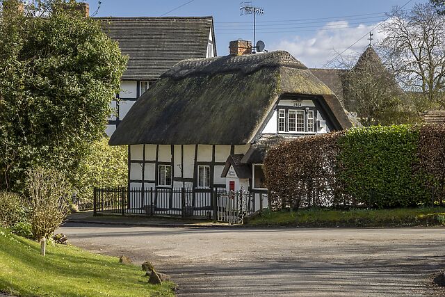 Corner Thatch
