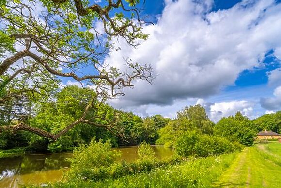 Exton Park at Lantern and Larks
