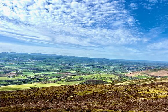 The Barn at Plas Ashpool