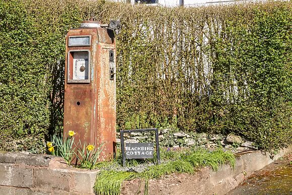 Blackbird Cottage