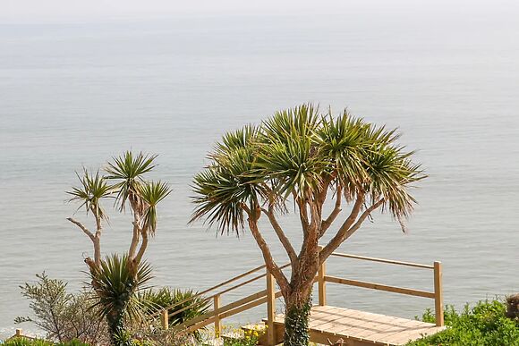 Beach House