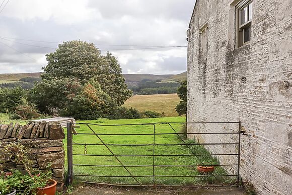 The Cow Shed