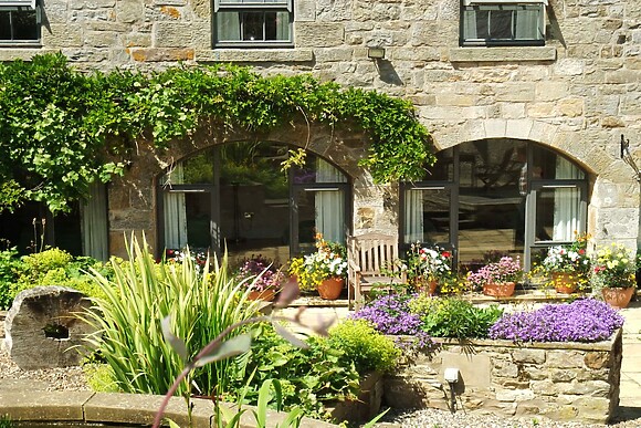 The Steadings