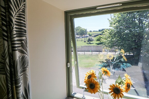 Meadow View