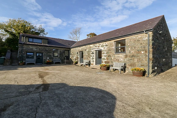 Derw at Tyddyn Sianel