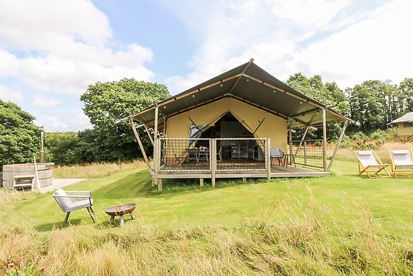 Bumble @ Stars & Embers Glamping