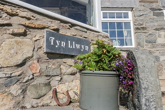 Tyn Llwyn