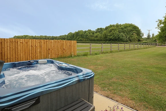 Buttercups at Midway