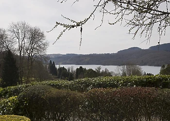 Lake Lodge Studio