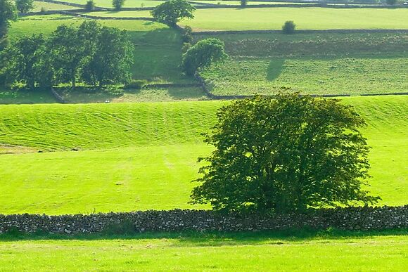 Cherry Tree Cottage At Satterthwaite