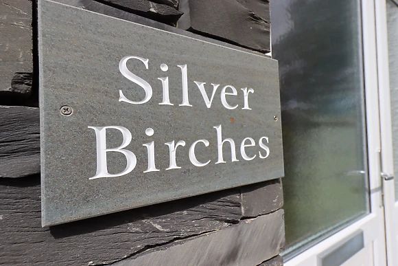 Silver Birches