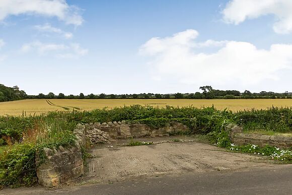 Secret Kingdom Cottage