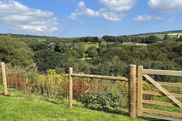 Woodhall