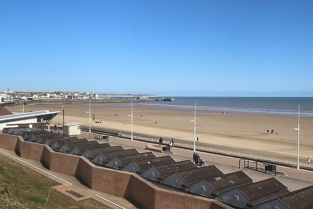 Sea Mews