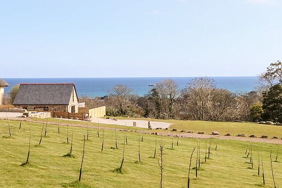 Apple Blossom Barn