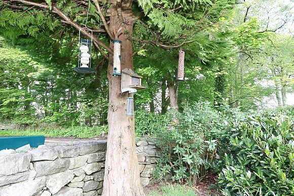 Upper Brackendale