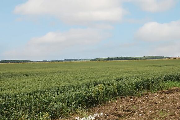 The Old Gate House Annexe