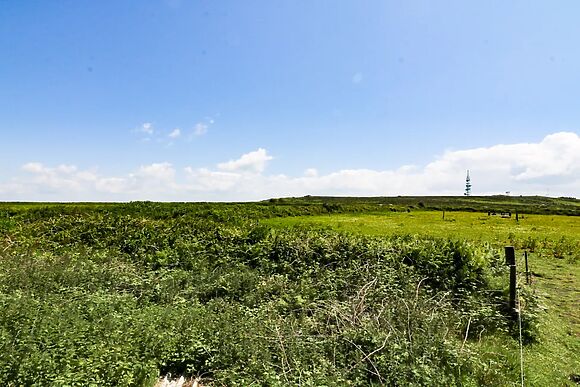 Polgear View