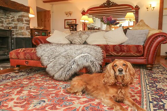 South Honeycroft Thatch