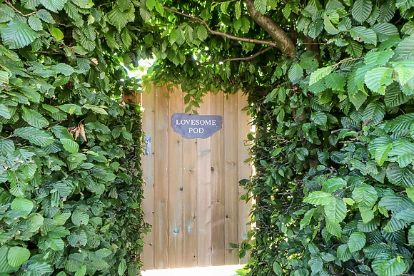 Lovesome Pod