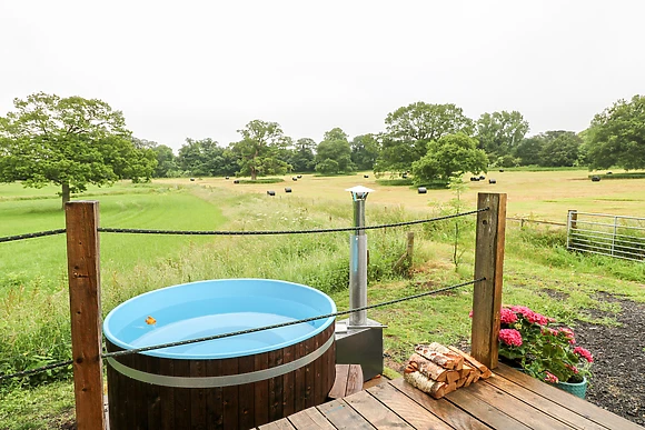 The Lazy Mare by The Water