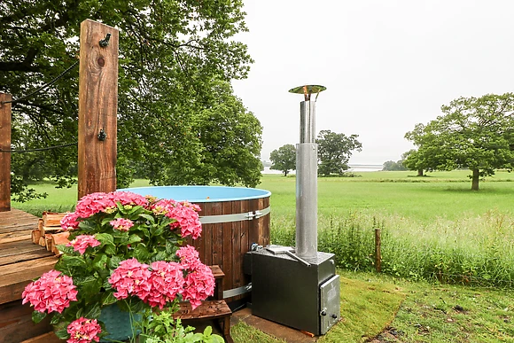 The Lazy Mare by The Water