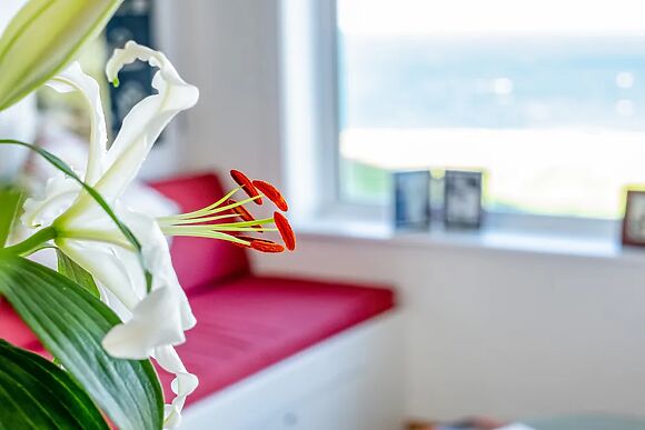 Trevan House (lundy)