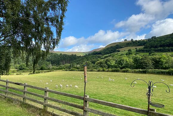 Tan Y Garth Cottage