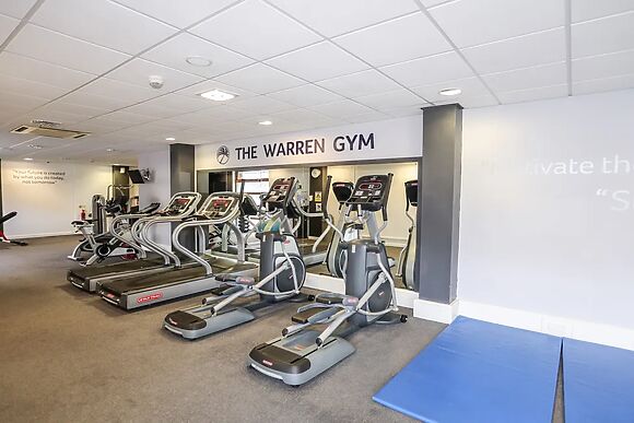 The Warren D26