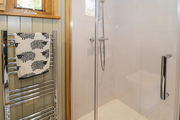 Shepherds Hut at Llethr