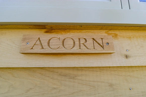 Acorn