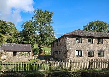 Primrose at Stancombe Manor