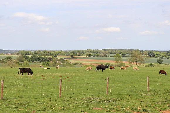 The Happy Valley Pod