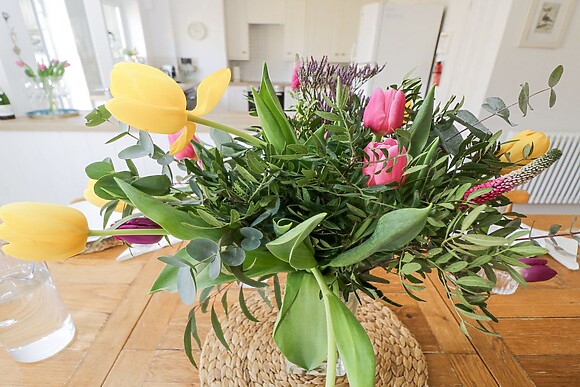 The Old School House