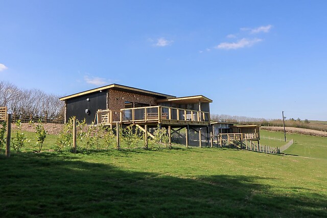 Bryn Hafod