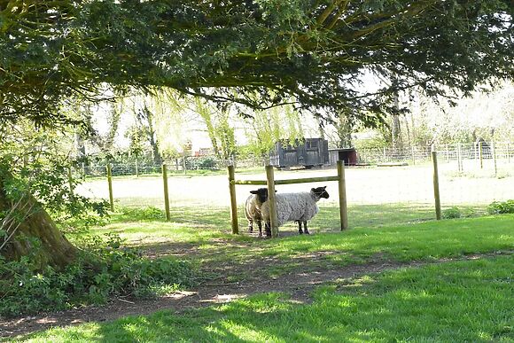 Yew Tree Farm Barn