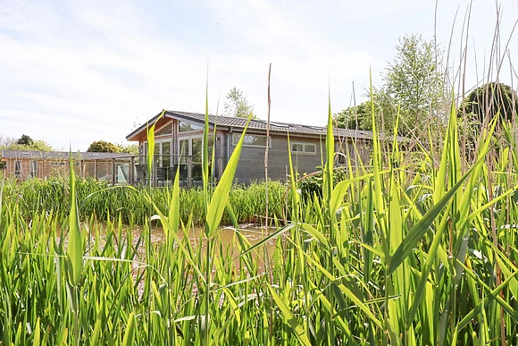 5 Meadow Retreat