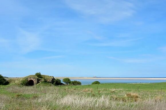 Kittiwake Cottage