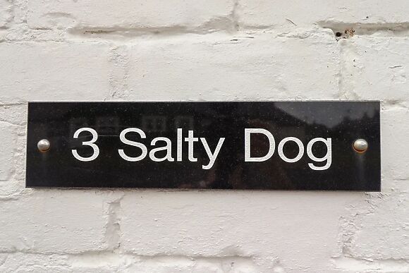 Salty Dog