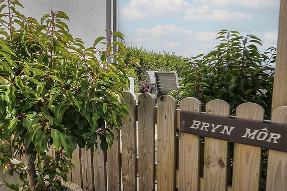 Bryn Mor
