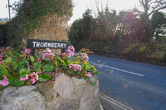 Thornberry