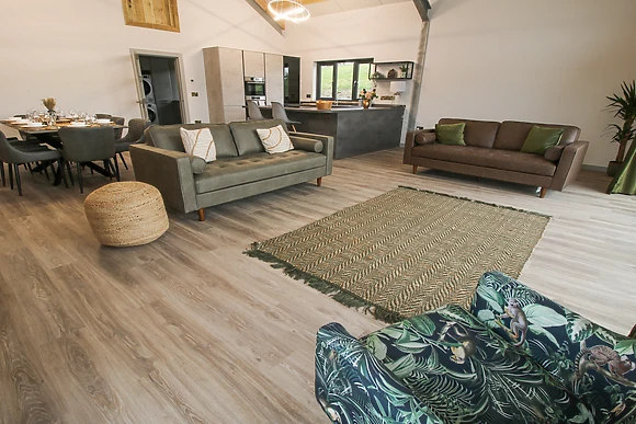 Red Kite at Barcud Coch